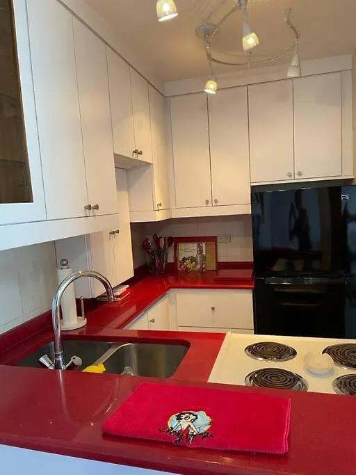 Ocean Front Condo In Isla Verde! San Juan Apartment